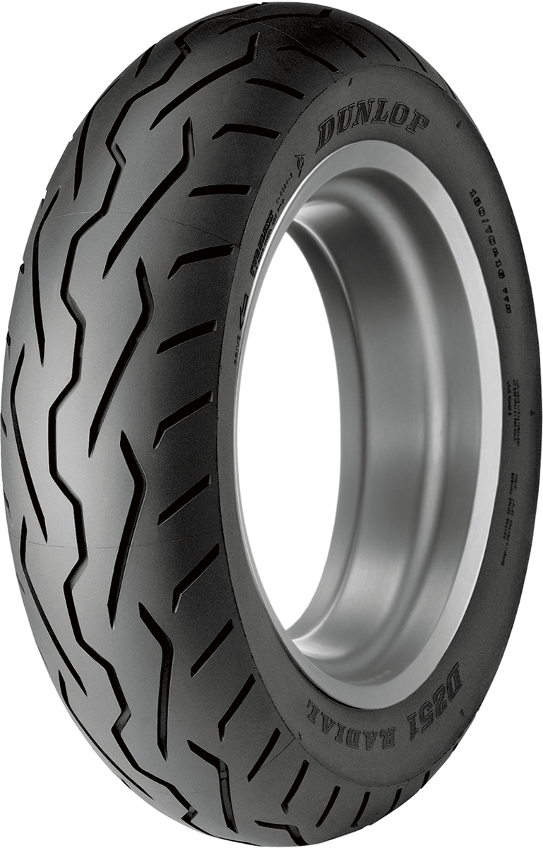 DUNLOP D251 Tire - Tire - D251 - Rear - 180/55R17 - 73V